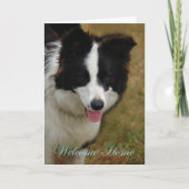 コリーおかえり。また帰ってきてよかった。 カード (正面)