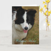 コリーおかえり。また帰ってきてよかった。 カード (黄色い花)