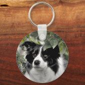 コリーかわいらしドッグ キーホルダー (正面)