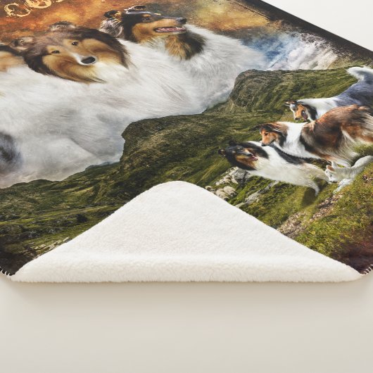 コリーと羊の群れのない家素朴- シェルパブランケット (3/4)