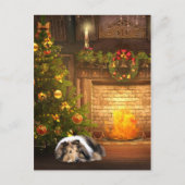 コリーのクリスマス シーズンポストカード (正面)