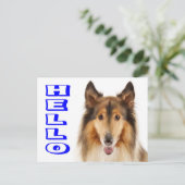 コリーの子犬 ポストカード (スタンド正面)