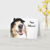 コリーの魔法使いのハロウィンカード カード (黄色い花)