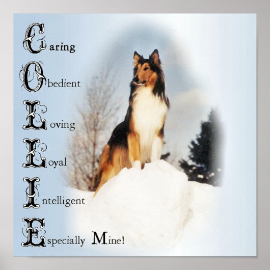 コリーは…ラフ・コリー・アート ポスター (正面)