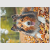 コリーイングラスデクーページ紙 薄葉紙 (正面)