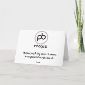 コリークロス シーズンカード (裏面)