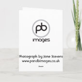 コリークロス シーズンカード (裏面)