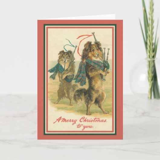 コリーズ·バ遊グパイプ シーズンカード (正面)