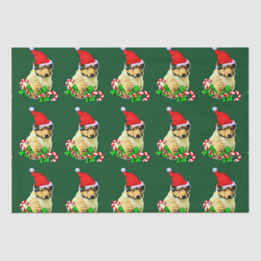 コリーパピーサンタハットクリスマス 薄葉紙 (正面)