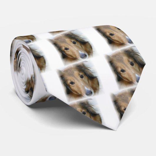 コリー犬のタイ ネクタイ (ロール)