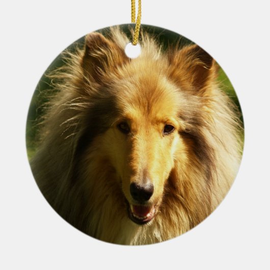 コリー犬の品種オーナメント セラミックオーナメント (正面)