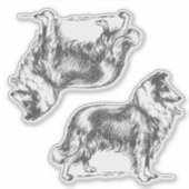 コリー犬 シール (正面)