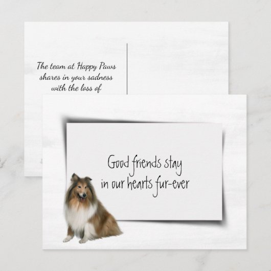 コリー犬 ペット シンパシー 喪失 ポストカード (正面/裏面)