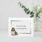 コリー犬 ペット 死への哀悼 ポストカード (スタンド正面)