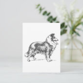 コリー犬 ポストカード (スタンド正面)