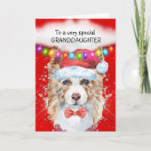 コリー縁どの孫娘クリスマスがサンタを願う カード (正面)