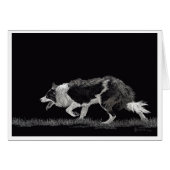 コリー縁どを暴動する (正面横)