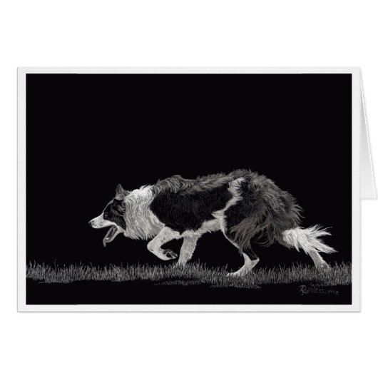 コリー縁どを暴動する (正面横)