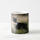 コリー縁どオストラリアのシェパードミックス コーヒーマグカップ (中央)