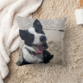 コリー縁どオンザビーチ クッション (ブランケット)