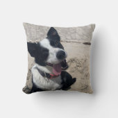 コリー縁どオンザビーチ クッション (正面)