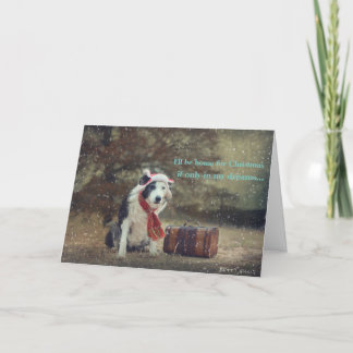 コリー縁どクリスマスカード シーズンカード