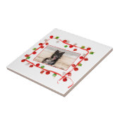 コリー縁どクリスマス タイル (側面)