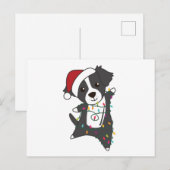 コリー縁どスのクリスマス犬の冬獣犬 ポストカード (正面/裏面)