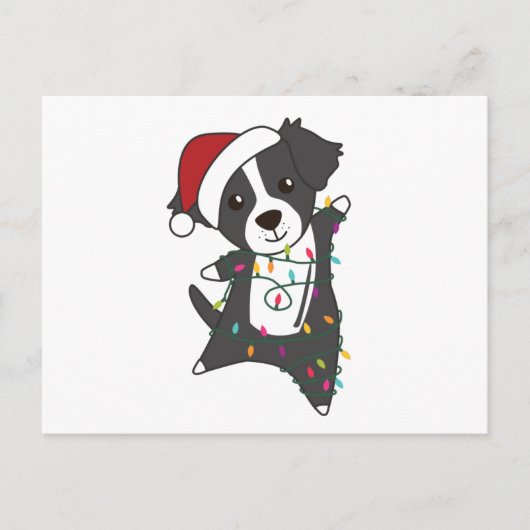 コリー縁どスのクリスマス犬の冬獣犬 ポストカード (正面)