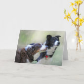 コリー縁どス カード (黄色い花)