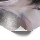 コリー縁どス フォトプリント            (角)