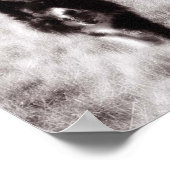 コリー縁どス ポスター (角)