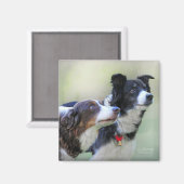 コリー縁どス マグネット (正面/裏面)