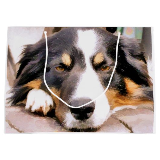 コリー縁どス ラージペーパーバッグ (正面)