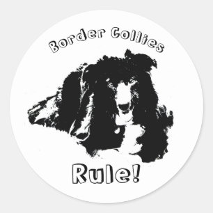 コリー縁どズルールかわいい犬 ラウンドシール
