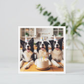 コリー縁どズ、犬の誕生日カード、犬 招待状 (スタンド正面)