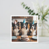 コリー縁どズ、犬の誕生日カード、犬 招待状 (スタンド正面)