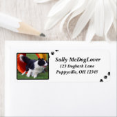 コリー縁どトンネルの機敏性 ラベル (インサイチュ)