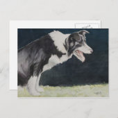 コリー縁どドグアートはがき ポストカード (正面/裏面)