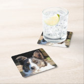 コリー縁どドッグ スクエアペーパーコースター (インサイチュ)