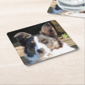 コリー縁どドッグ スクエアペーパーコースター (アングル)