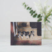 コリー縁どパパイドグポストカードの砂 ポストカード (スタンド正面)