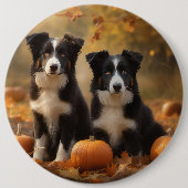 コリー縁どパピーオータムデライトカボチャ 缶バッジ (正面)