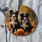 コリー縁どパピーオータムデライトカボチャ 缶バッジ (インサイチュ)