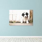 コリー縁どパピー キャンバスプリント (インサイチュ (ウッドフロア))