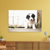 コリー縁どパピー キャンバスプリント (インサイチュ (リビング))