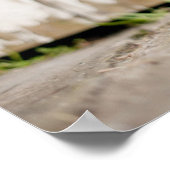 コリー縁どパピー ポスター (角)