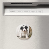 コリー縁どパピー マグネット (インサイチュ (食洗機))