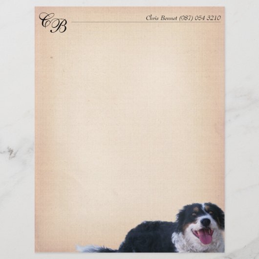 コリー縁どミックス (正面)