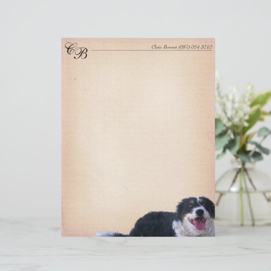 コリー縁どミックス (スタンド正面)